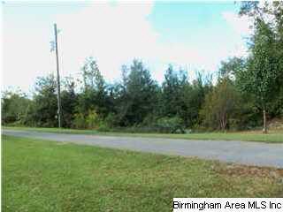 15041 Benevola Road Gordo, AL 35466 - Photo 19 of 21