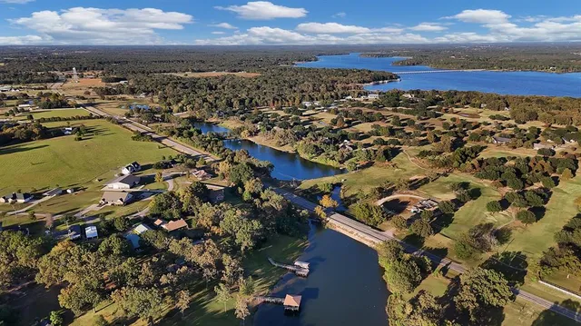 a view of a pathway with a tree