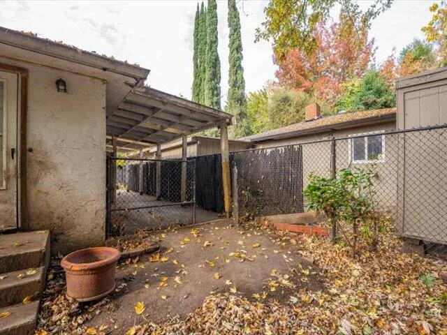a view of a backyard with potted plants