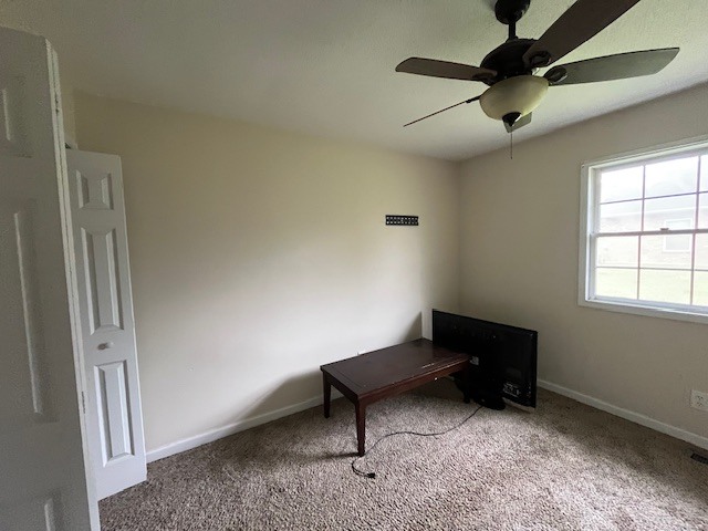 717 North 21st Street Herrin, IL 62948 - Photo 13 of 15