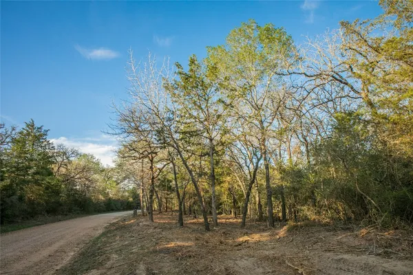 $199,000 | Tbd Schoenau Road, Brenham, TX 77833