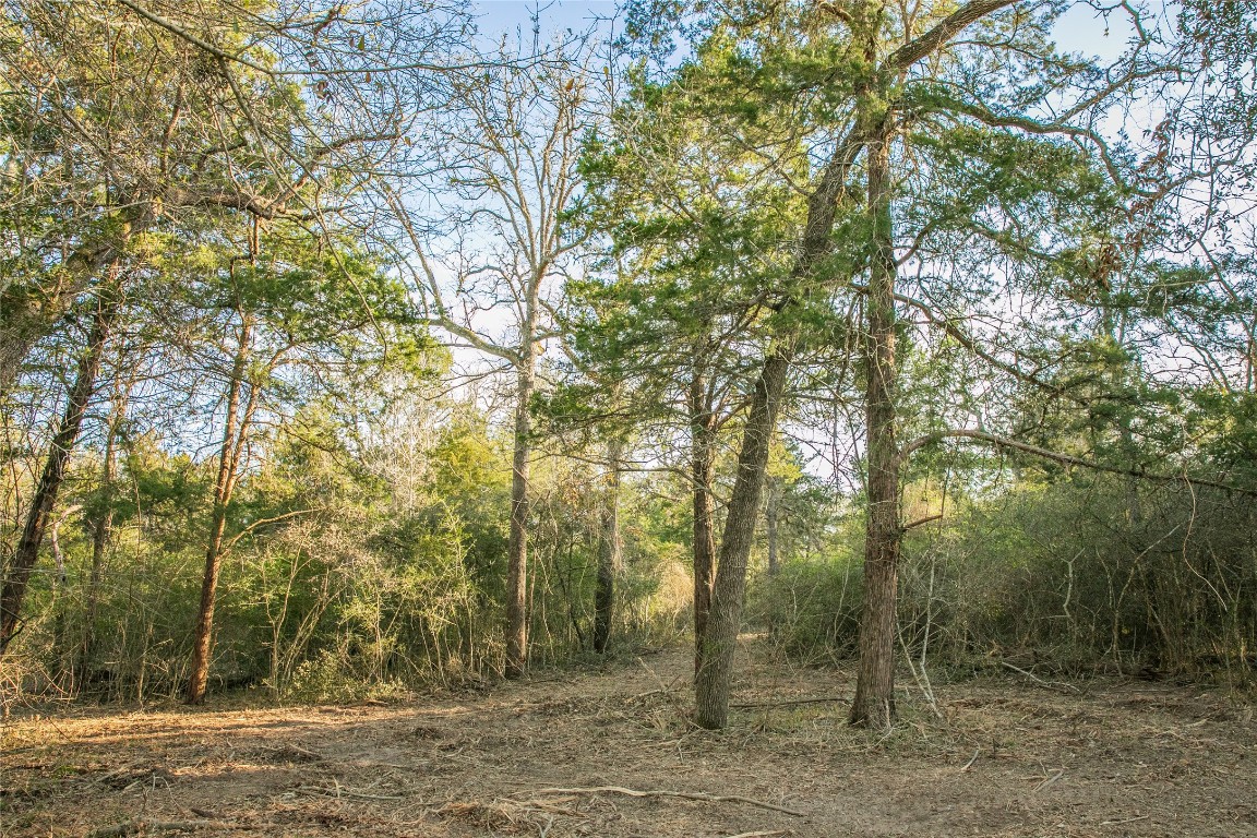 Tbd Schoenau Road Brenham, TX 77833 - Photo 2 of 7