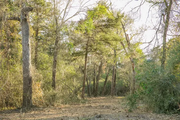 $199,000 | Tbd Schoenau Road, Brenham, TX 77833