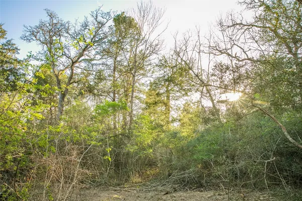 $199,000 | Tbd Schoenau Road, Brenham, TX 77833