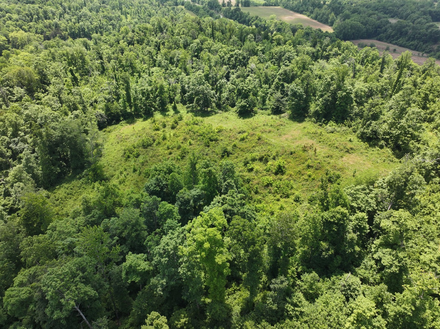 110 Wade Reed Road White Bluff, TN 37187 - Photo 56 of 80