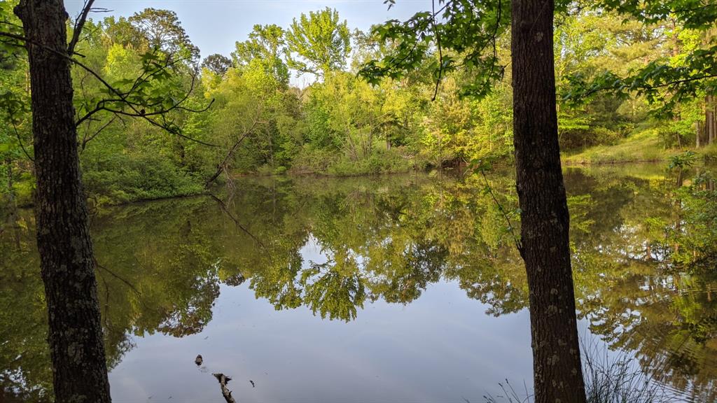 113 Breezy Road Gibsland, LA 71028 - Photo 27 of 30