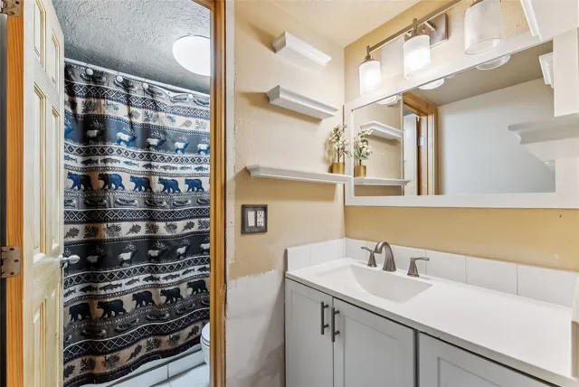 a bathroom with a shower and a sink