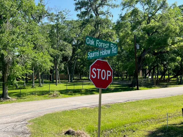 a view of a back yard with green space