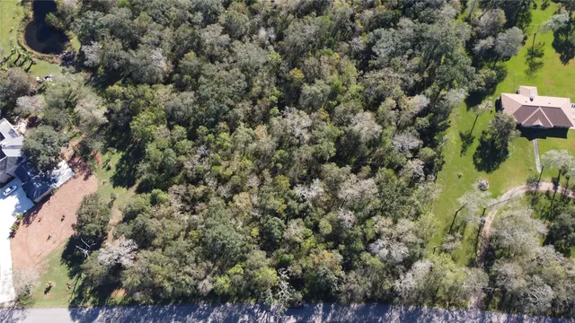 a big yard with lots of green space and trees
