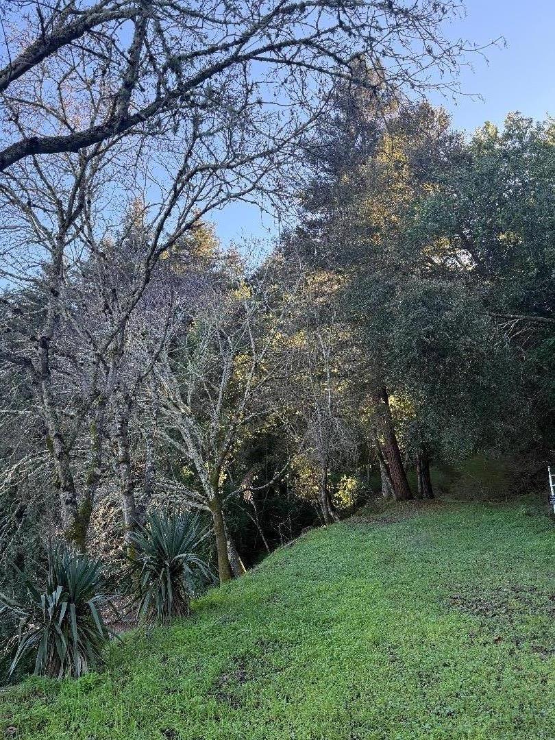 20525 Iron Springs Road Los Gatos, CA 95033 - Photo 2 of 3 a view of a yard