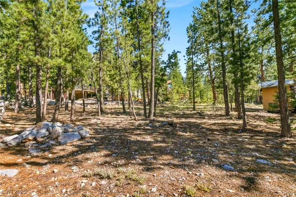 $1,500,000 | 2130 Via Spes Nostra Street, Mount Charleston, NV 89124