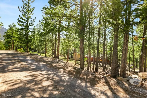 $1,500,000 | 2130 Via Spes Nostra Street, Mount Charleston, NV 89124