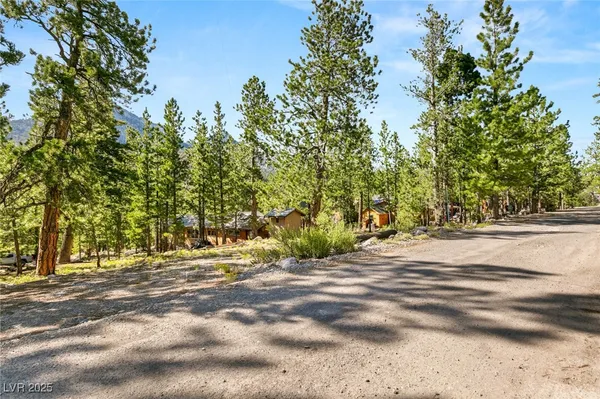 $1,500,000 | 2130 Via Spes Nostra Street, Mount Charleston, NV 89124