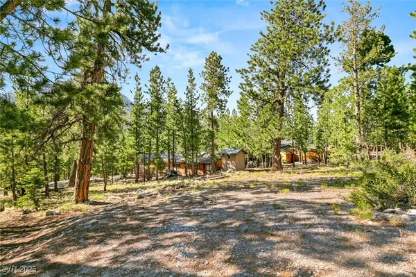 $1,500,000 | 2130 Via Spes Nostra Street, Mount Charleston, NV 89124