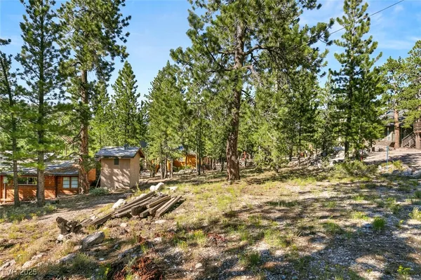 $1,500,000 | 2130 Via Spes Nostra Street, Mount Charleston, NV 89124