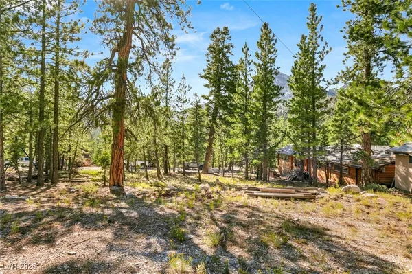 $1,500,000 | 2130 Via Spes Nostra Street, Mount Charleston, NV 89124