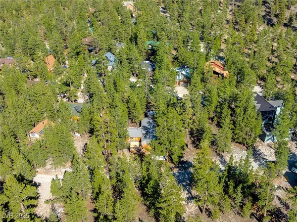 $1,500,000 | 2130 Via Spes Nostra Street, Mount Charleston, NV 89124