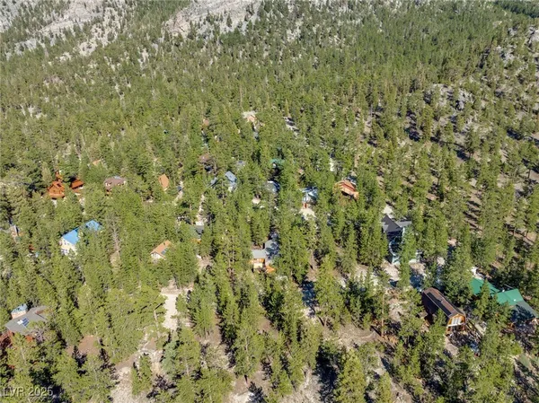 $1,500,000 | 2130 Via Spes Nostra Street, Mount Charleston, NV 89124
