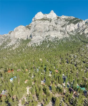 $1,500,000 | 2130 Via Spes Nostra Street, Mount Charleston, NV 89124
