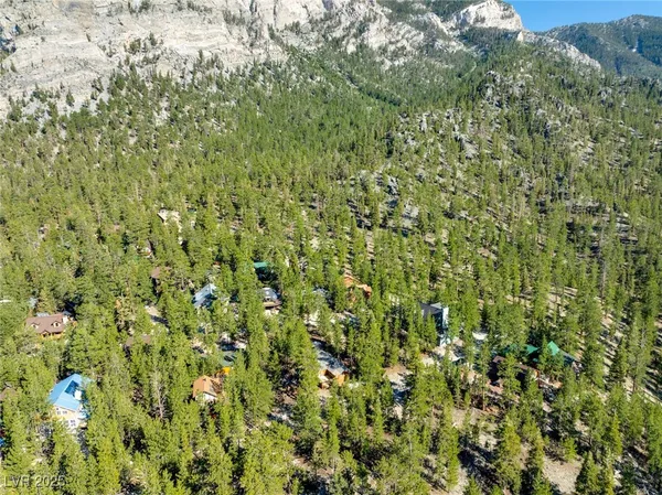 $1,500,000 | 2130 Via Spes Nostra Street, Mount Charleston, NV 89124