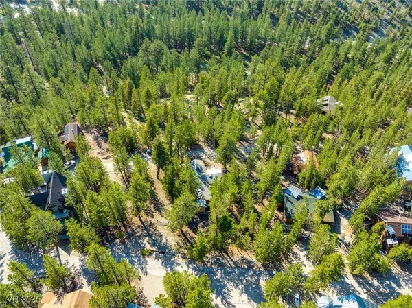 $1,500,000 | 2130 Via Spes Nostra Street, Mount Charleston, NV 89124