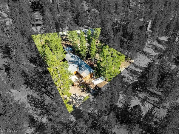 $1,500,000 | 2130 Via Spes Nostra Street, Mount Charleston, NV 89124