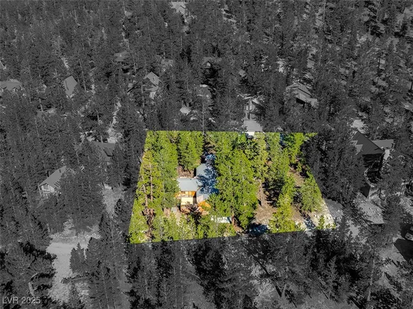 $1,500,000 | 2130 Via Spes Nostra Street, Mount Charleston, NV 89124