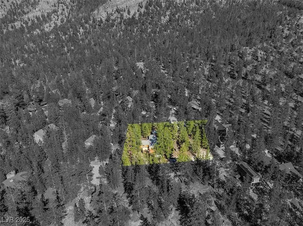 $1,500,000 | 2130 Via Spes Nostra Street, Mount Charleston, NV 89124