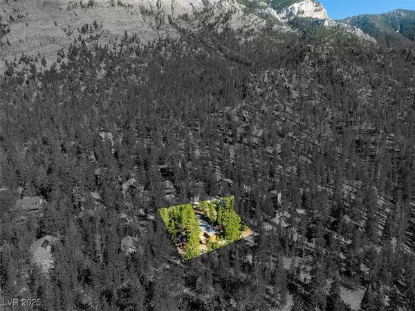 $1,500,000 | 2130 Via Spes Nostra Street, Mount Charleston, NV 89124