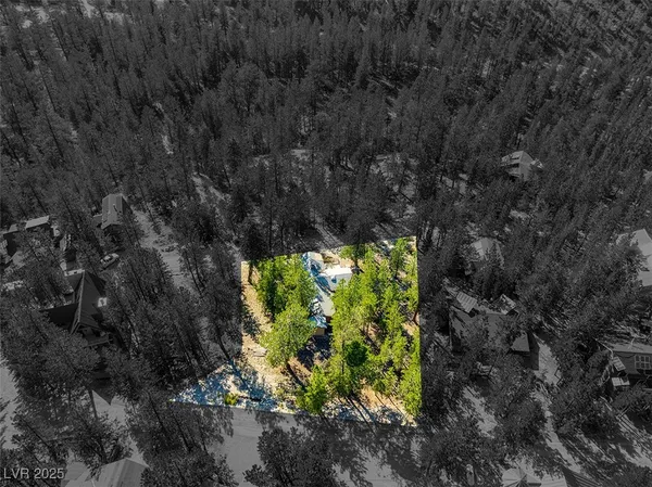 $1,500,000 | 2130 Via Spes Nostra Street, Mount Charleston, NV 89124