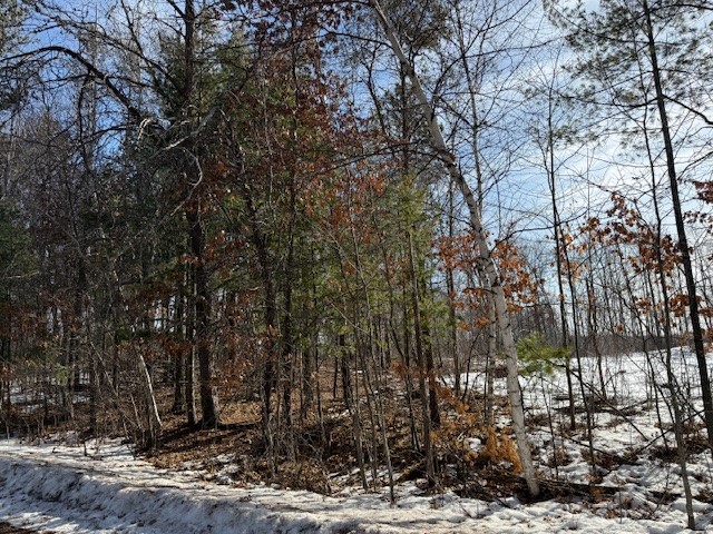 0 Bashaw Trail Shell Lake, WI 54871 - Photo 7 of 9