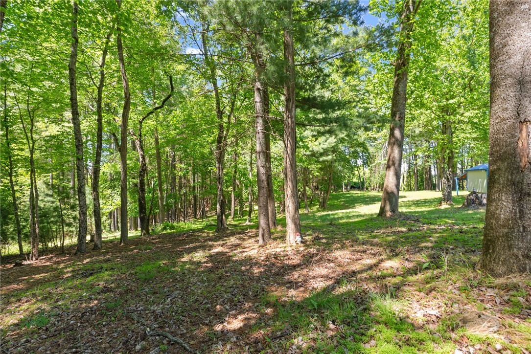 154 Folger Road Sparta, NC 28675 - Photo 34 of 37 a view of a trees in a yard