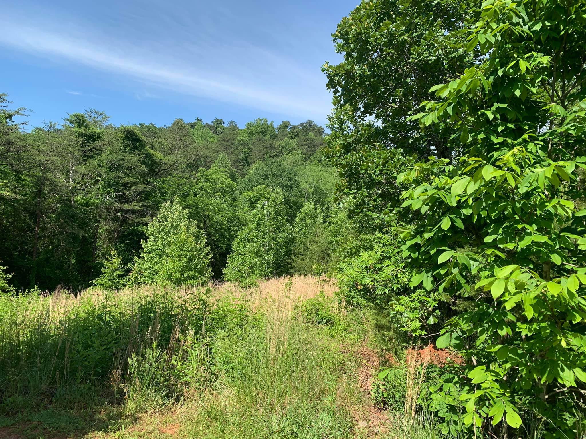 555 Old Bacon Road Northeast Charleston, TN 37310 - Photo 2 of 3 60405350_10214694052853349_2158265257158