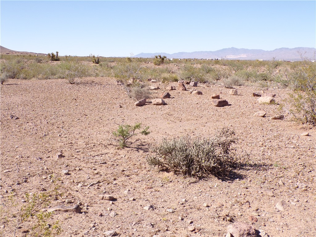 4885 Papago Road Golden Valley, AZ 86413 - Photo 15 of 37 View