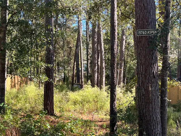 a view of a yard with large trees