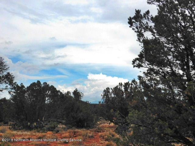 7313 Red Butte Road Williams, AZ 86046 - Photo 17 of 17 DSCN0957