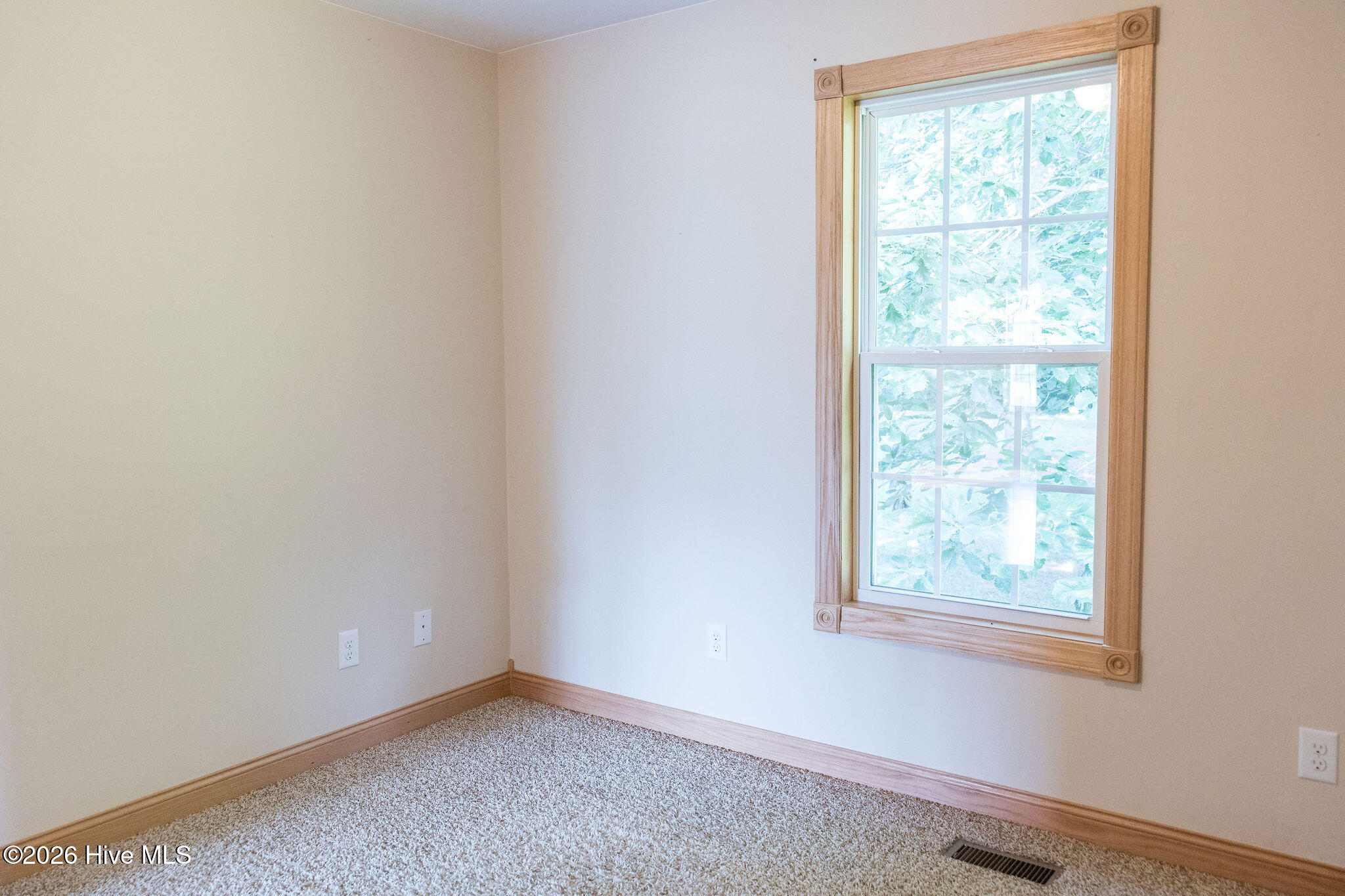 1006 Braswell Road Goldsboro, NC 27530 - Photo 29 of 42