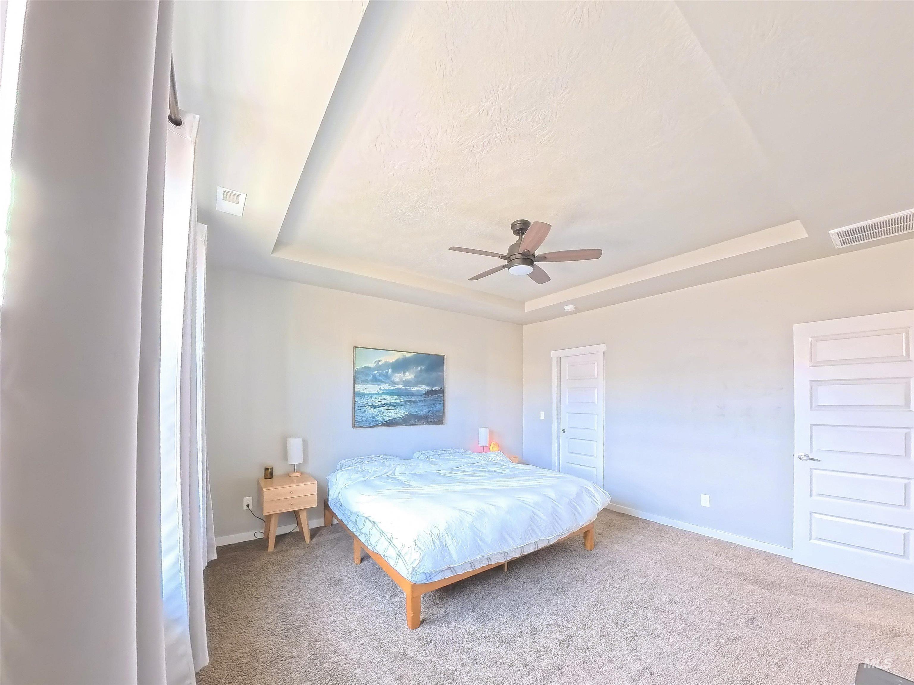 347 South Truss Lane Meridian, ID 83642 - Photo 13 of 24 Bedroom with a tray ceiling, carpet, and ceiling fan