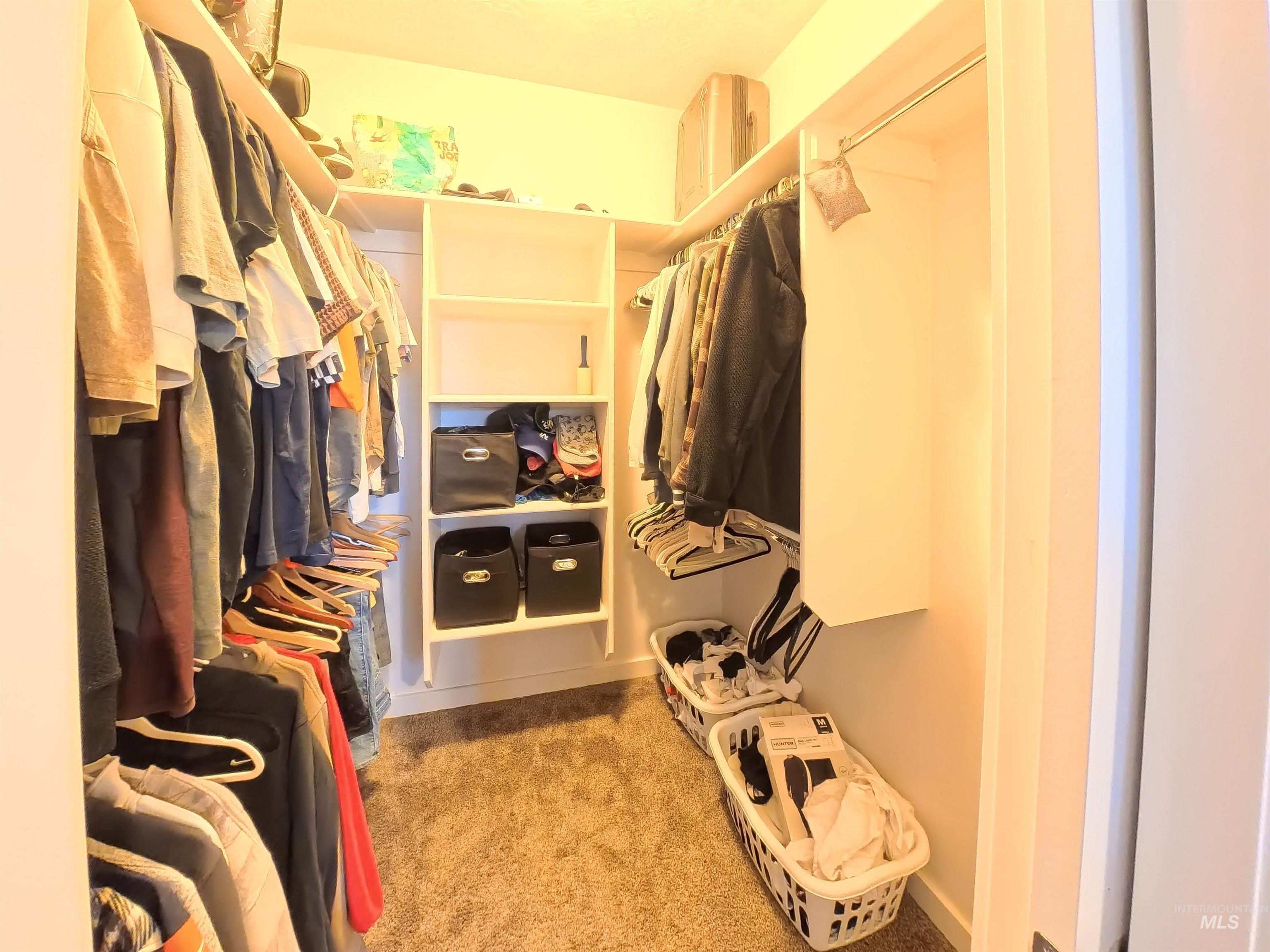 347 South Truss Lane Meridian, ID 83642 - Photo 15 of 24 Walk in closet with light colored carpet