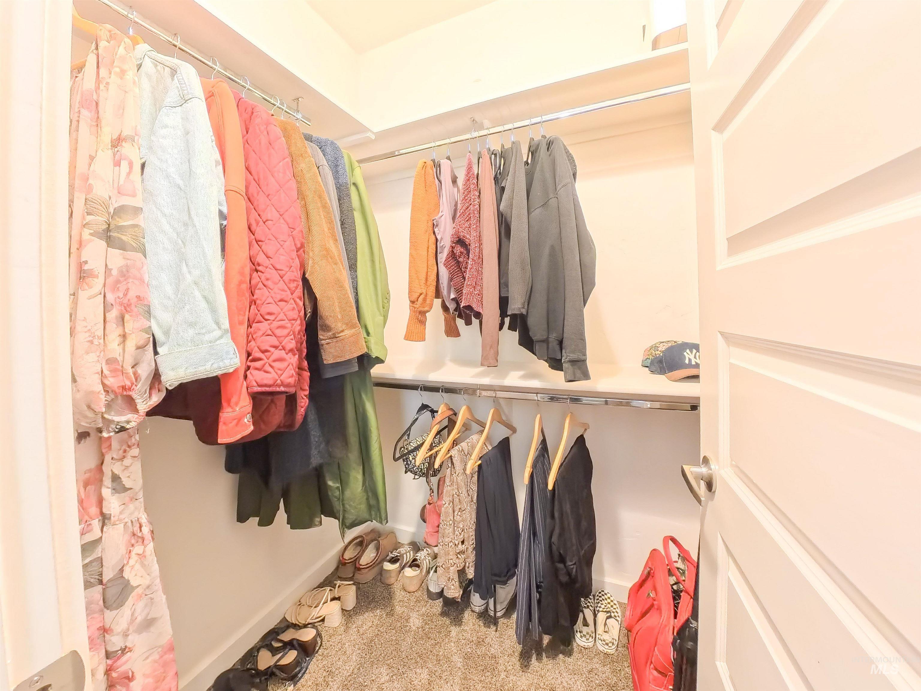 347 South Truss Lane Meridian, ID 83642 - Photo 19 of 24 Walk in closet with carpet floors