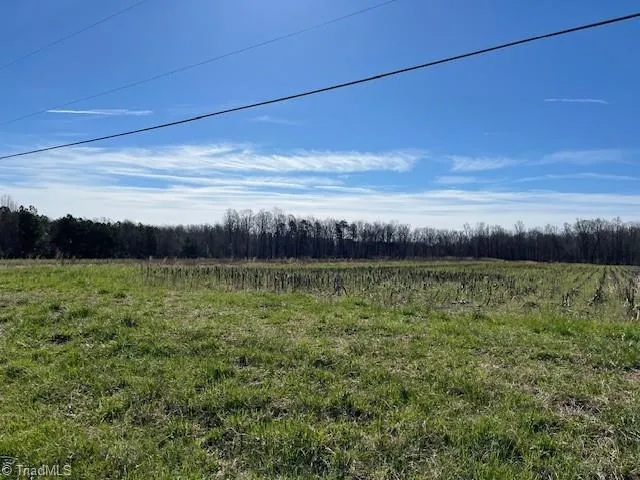 $550,000 | 5426 Turner Smith Road, Browns Summit, NC 27214