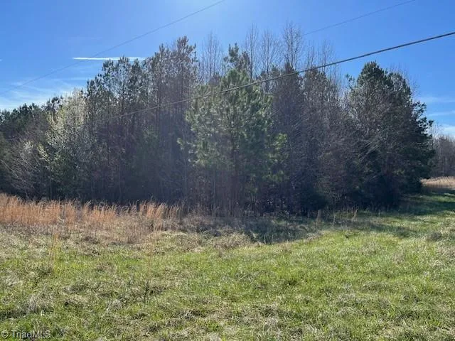 $550,000 | 5426 Turner Smith Road, Browns Summit, NC 27214