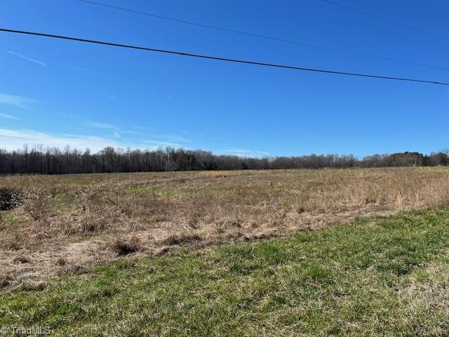 5426 Turner Smith Road Browns Summit, NC 27214 - Photo 5 of 7