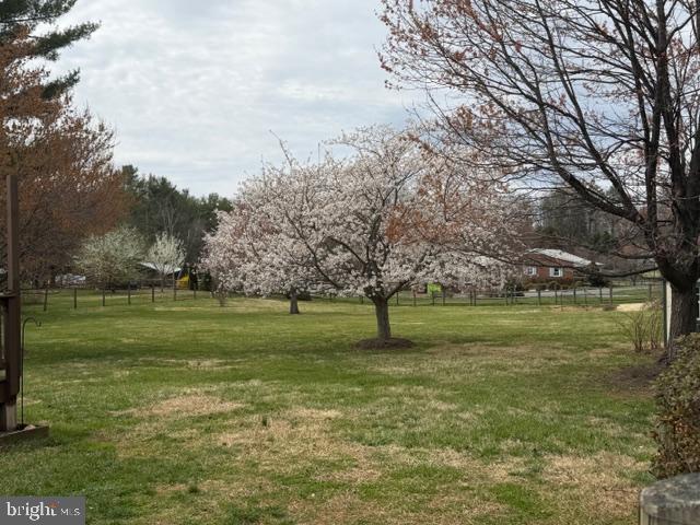 6774 Grays Mill Road Warrenton, VA 20187 - Photo 12 of 35 a view of field with trees in the background