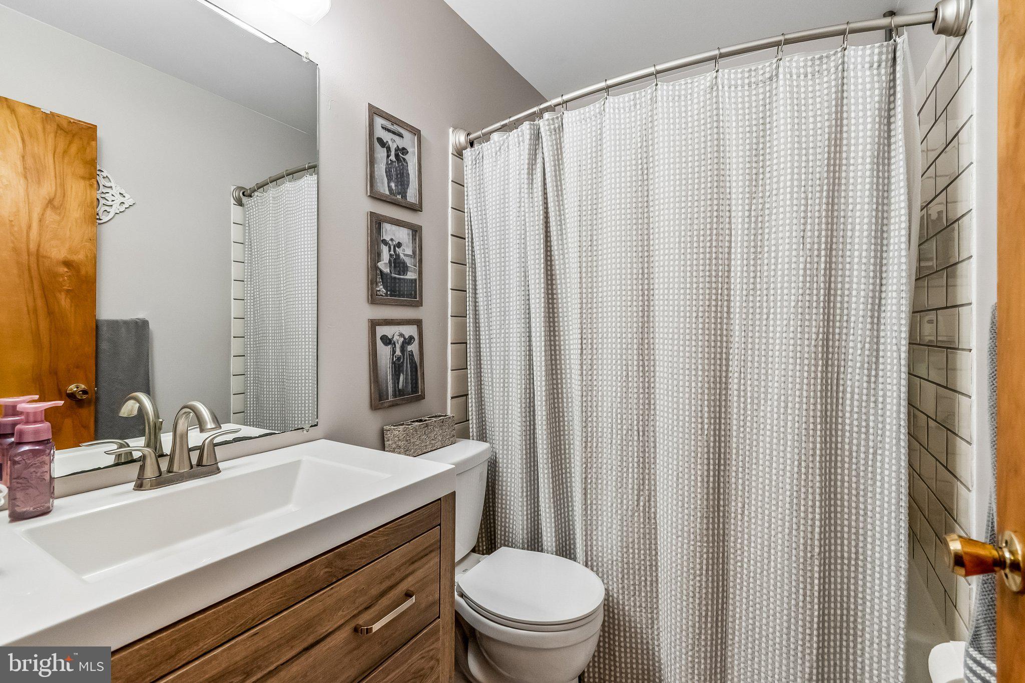 6774 Grays Mill Road Warrenton, VA 20187 - Photo 28 of 35 a bathroom with a sink a toilet a mirror and shower curtain