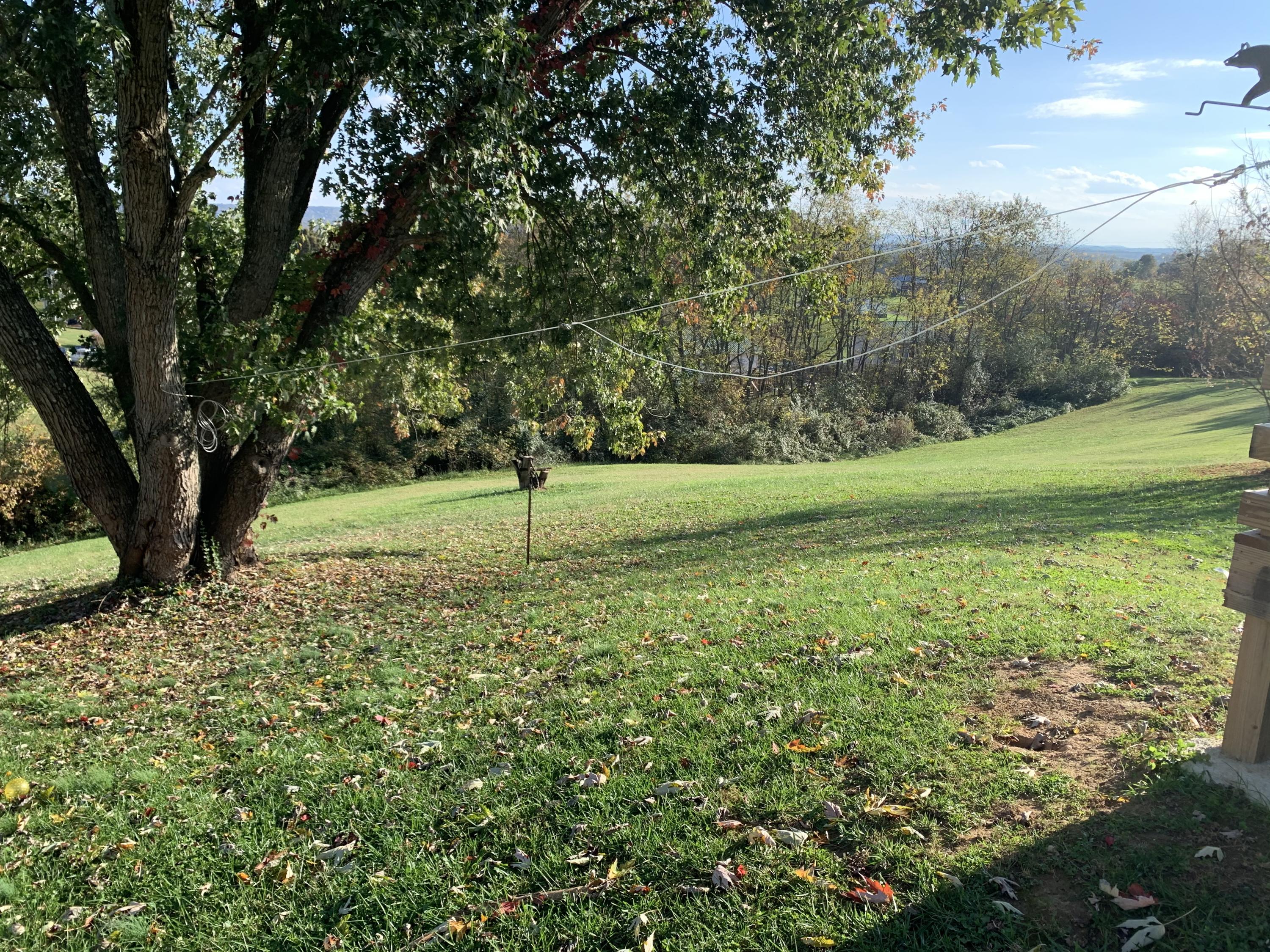 161 Austin Mill Road Rogersville, TN 37857 - Photo 9 of 17 606C7D90-334B-4443-AEAF-FC4E581B7AD5