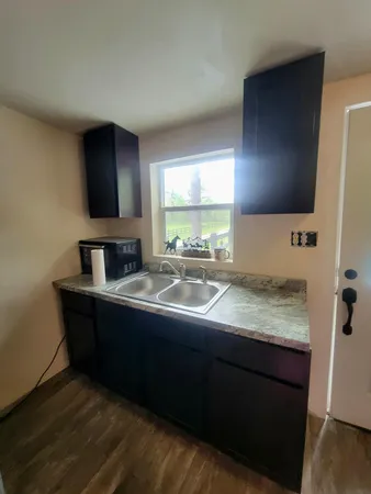 a view of a park with large trees