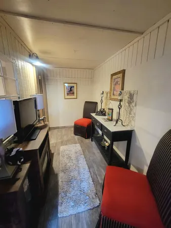 a view of a park with large trees