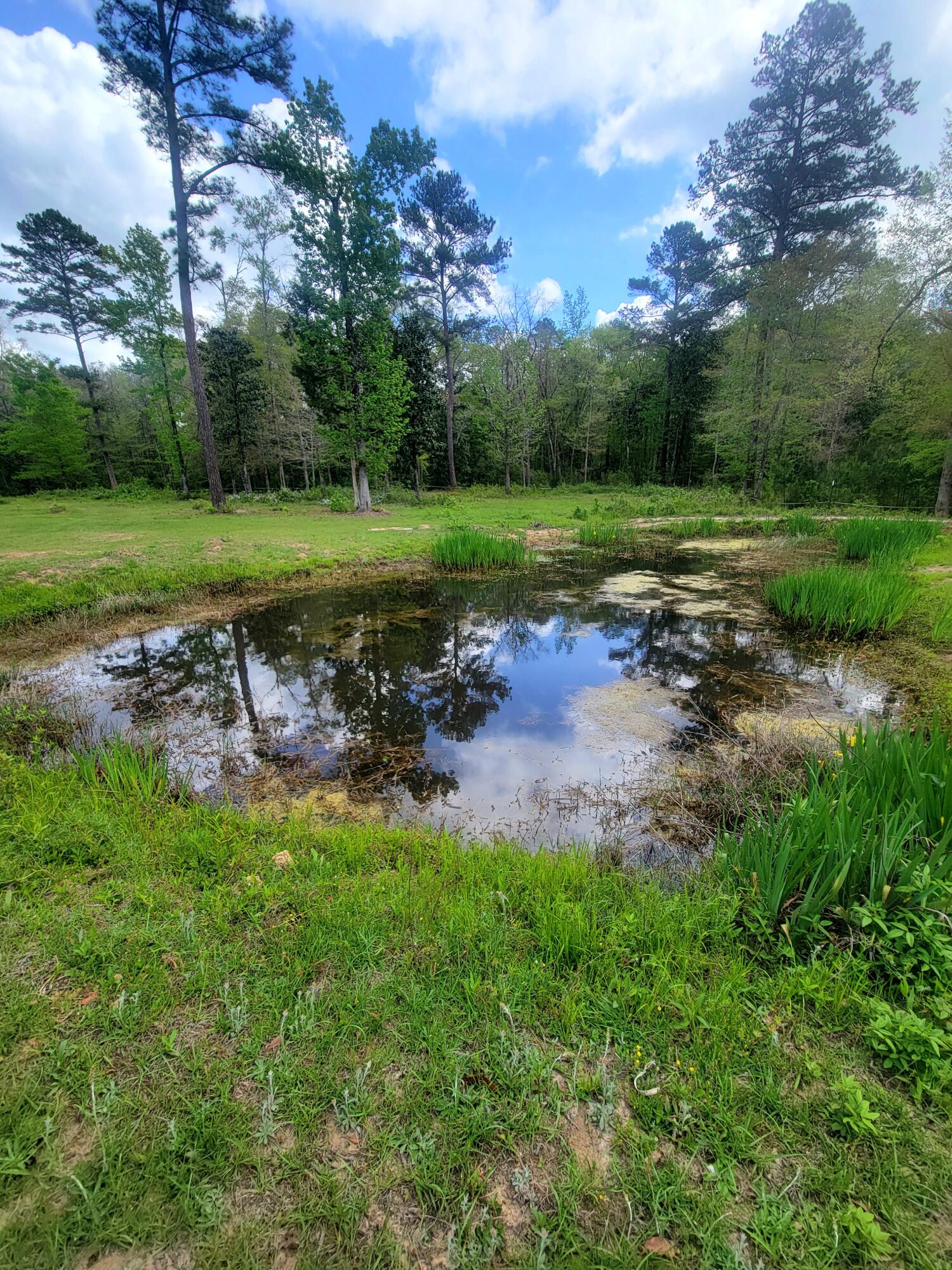 1508 Crooked Creek Road Ponce de Leon, FL 32455 - Photo 5 of 62 small pond