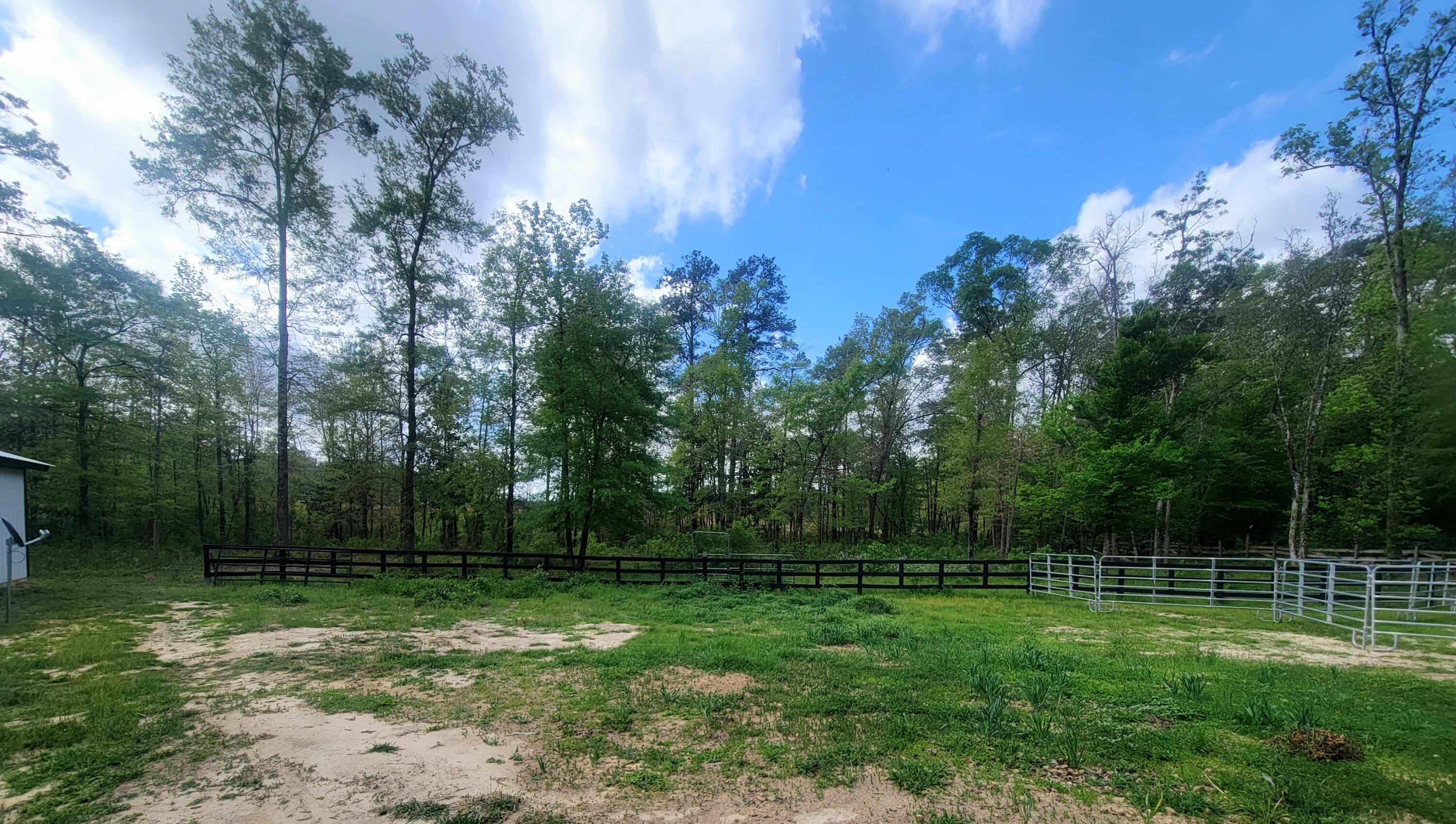 1508 Crooked Creek Road Ponce de Leon, FL 32455 - Photo 57 of 62 a view of a backyard